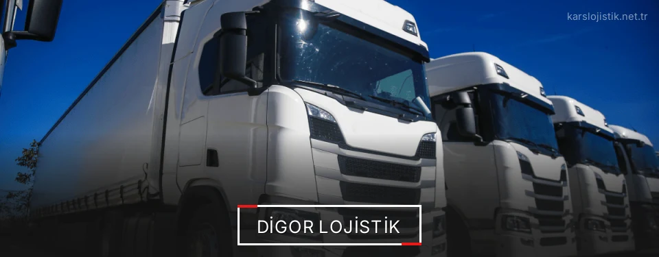 Digor Lojistik Kargo Digor Lojistik Kargo