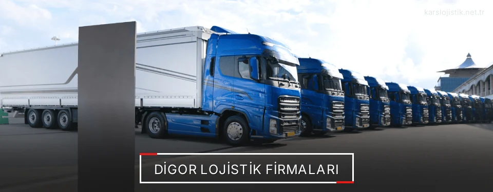 Digor Lojistik Taşımacılık Digor Lojistik Taşımacılık