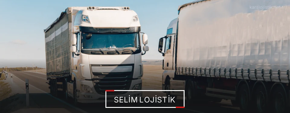 Selim Lojistik